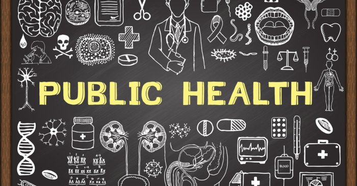 Health public cholera history ministry britannica kids kabul facts cite print email medical definition