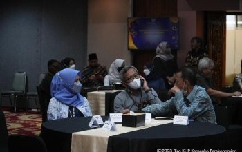 Kementerian koordinator bidang perekonomian