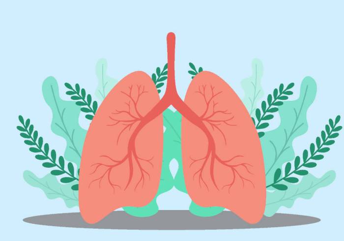 Gambar paru paru sehat