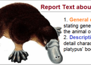 Contoh Text Report Panduan Lengkap