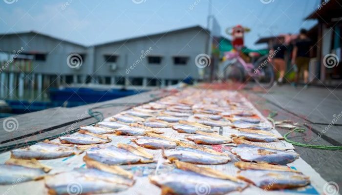 Ikan Asin Berasal Dari Sejarah, Jenis, dan Budaya
