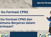 Apa Itu Formasi CPNS? Panduan Lengkap