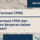 Formasi baru pemerintahan cpns akutahu