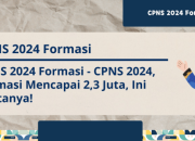 Cek Formasi CPNS 2024 Panduan Lengkap