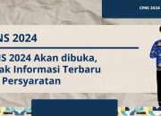Lowongan CPNS 2024 Panduan Lengkap