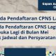 Pendaftaran cpns sampai tanggal berapa