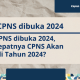 Cpns 2024 jadwal