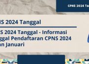 Jadwal CPNS 2024 Terbaru Panduan Lengkap
