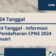 Jadwal cpns 2024 terbaru