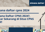 Info Pendaftaran CPNS 2024 Panduan Lengkap