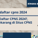 Info pendaftaran cpns 2024