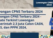 Info Terbaru CPNS 2024 Panduan Lengkap
