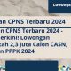 Info terbaru cpns 2024