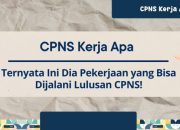 Apakah Penempatan CPNS Sesuai Domisili?
