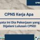 Apakah penempatan cpns sesuai domisili