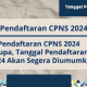 Pendaftaran cpns 2024