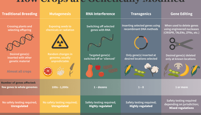 Modifikasi Pangan Tujuannya Kecuali Apa?