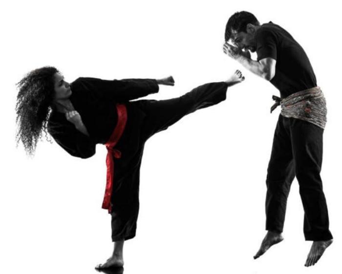 Prinsip prinsip beladiri dalam pencak silat kecuali