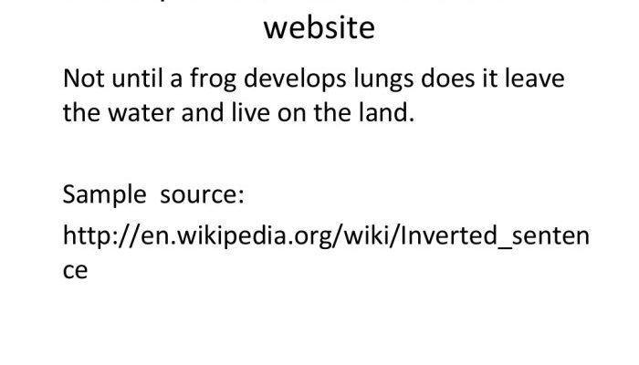 Contoh Kalimat Inversi Struktur dan Fungsinya