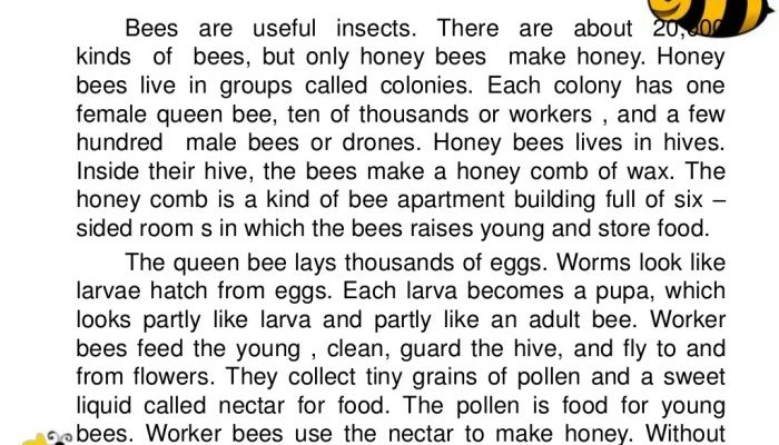 Contoh Eksplanasi Memahami Penjelasan Ilmiah