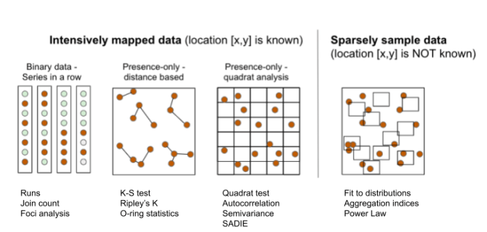 Contoh analisis pola keruangan