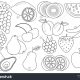 Gambar buah buahan untuk diwarnai