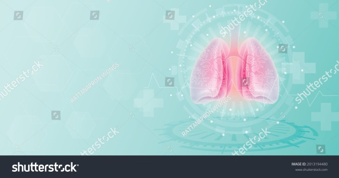 Gambar paru paru sehat