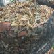 Cara membuat kompos dari daun kering