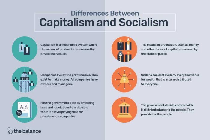 Capitalism pros examples economy cons definition