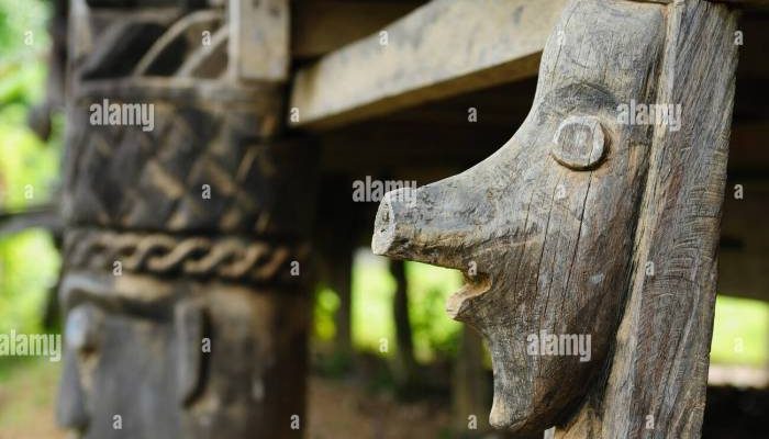Rumah Adat Dayak Sejarah, Arsitektur, dan Budaya