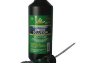 Mengenal Daun Yodium Manfaat dan Bahayanya