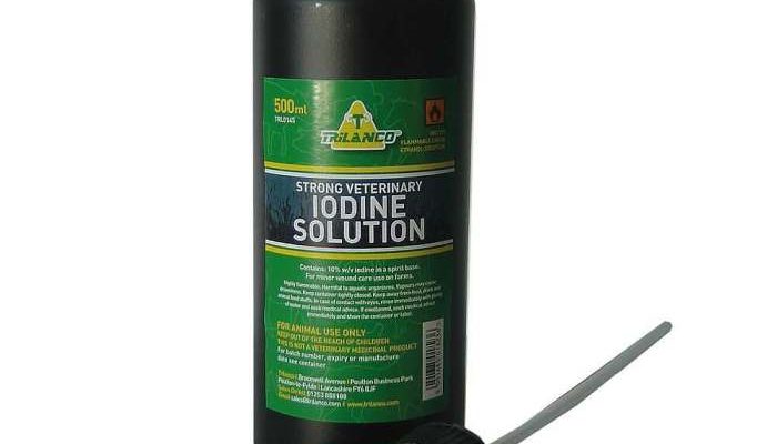 Mengenal Daun Yodium Manfaat dan Bahayanya