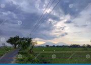 Gunung di Jawa Tengah Keindahan dan Potensi
