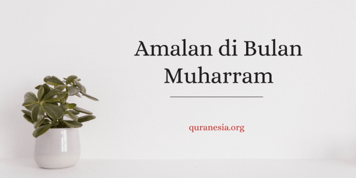 Sunnah nabi saw macam