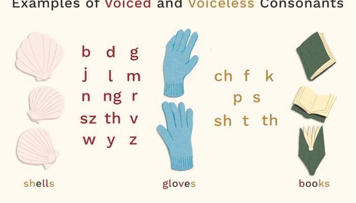 Aksara Anusuara Sejarah, Bentuk, dan Pengaruhnya