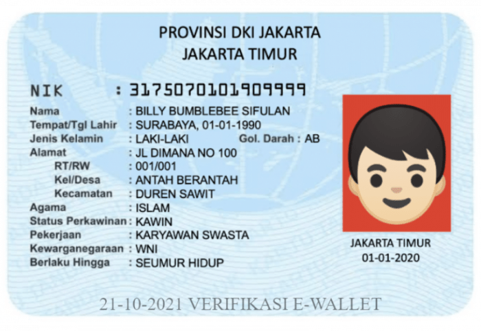 Bagaimana cara cek ktp online