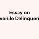 Juvenile essay delinquency aceyourpaper ojjdp briefing