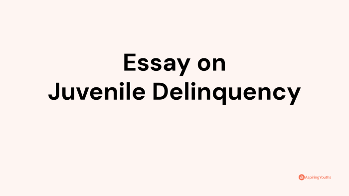 Juvenile essay delinquency aceyourpaper ojjdp briefing