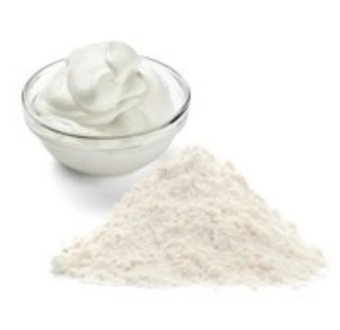 Bubuk yogurt