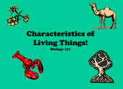 Gambar Ciri-Ciri Makhluk Hidup Bernapas