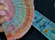 Dampak Anjloknya Rupiah terhadap UMKM Indonesia