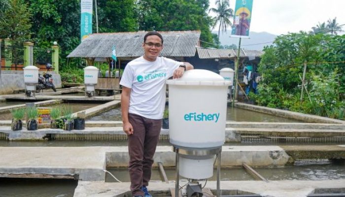 Prospek Pengembalian Investasi Efishery Menurut Laporan FTI