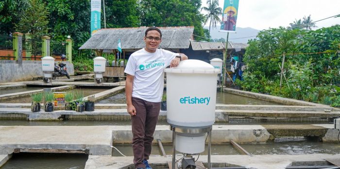 Prospek pengembalian investasi Efishery menurut laporan FTI