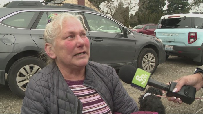 Contoh teks berita kebakaran