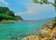 Simpegnas Aceh Singkil Sejarah, Kegiatan, dan Dampaknya