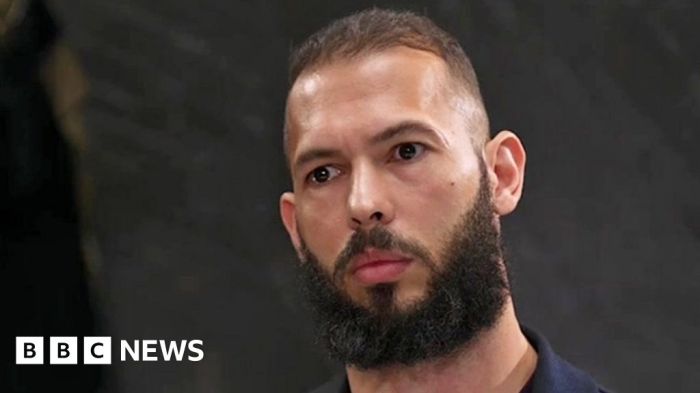 Dampak komentar Andrew Tate terhadap citra tubuh perempuan dan Ariana Grande