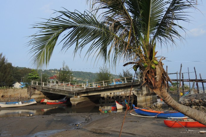 Kerjasama Provinsi Aceh dengan provinsi lain di bidang ekonomi dan budaya