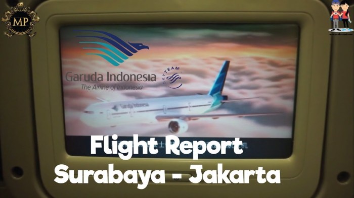 Review pengalaman terbang Garuda Indonesia flight 152