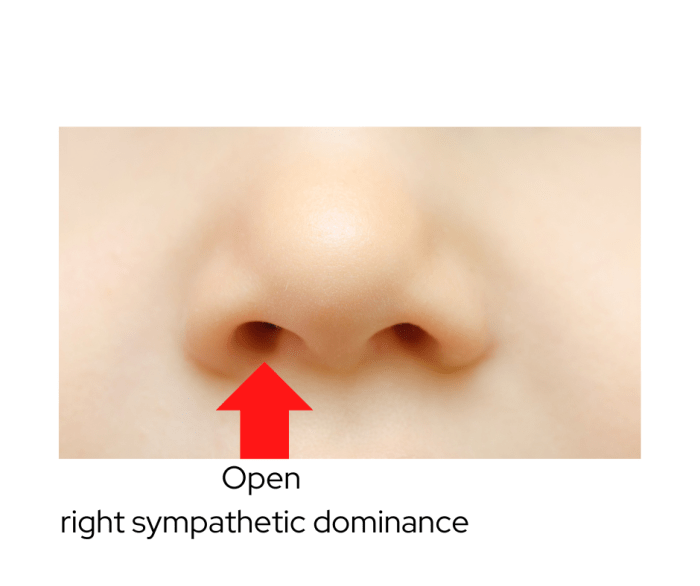 Pernapasan cuping hidung adalah
