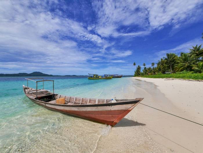 Opportunities ecosystem